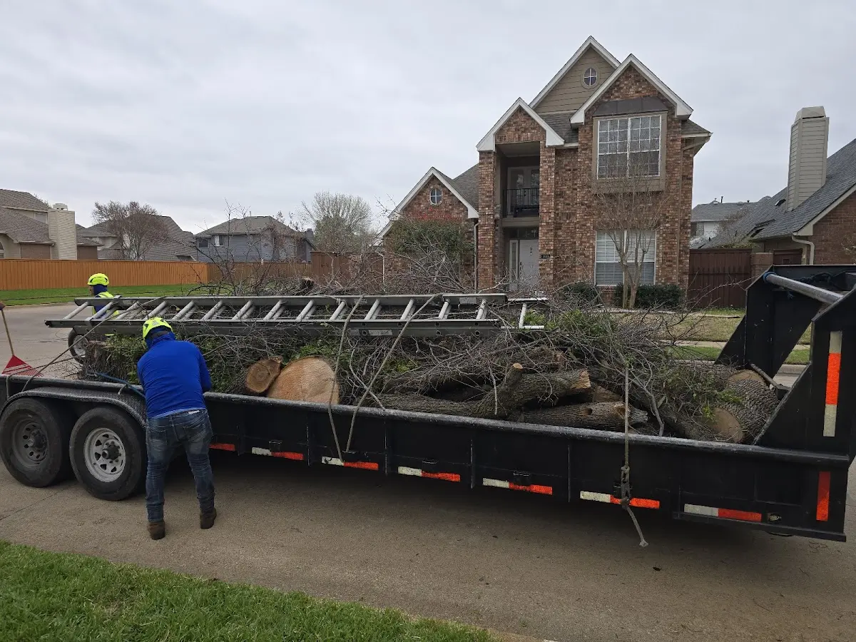 Expert Tree Removal with proper safety equipment in Fairless Hills